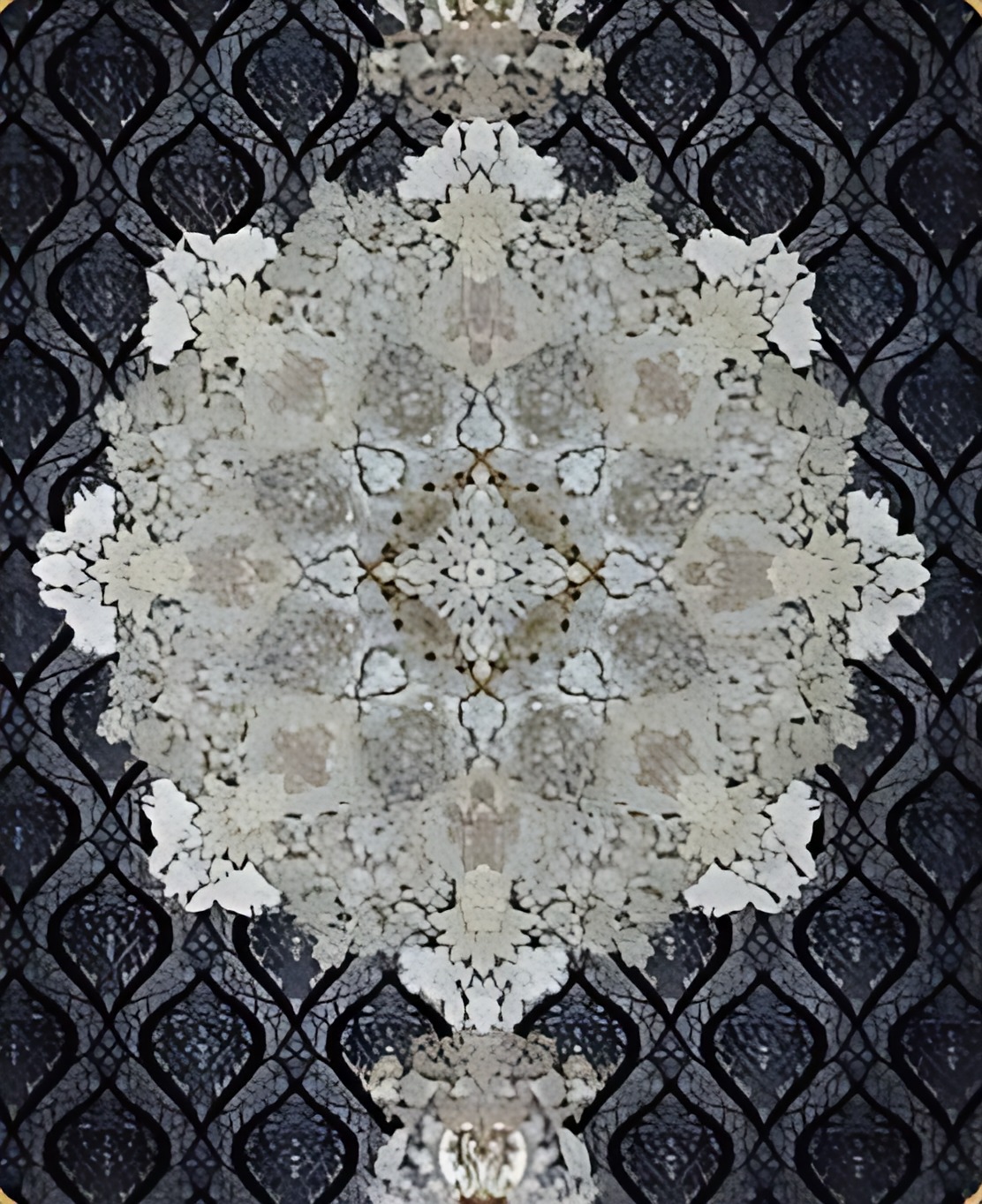 مژده سرمه طرح برجسته