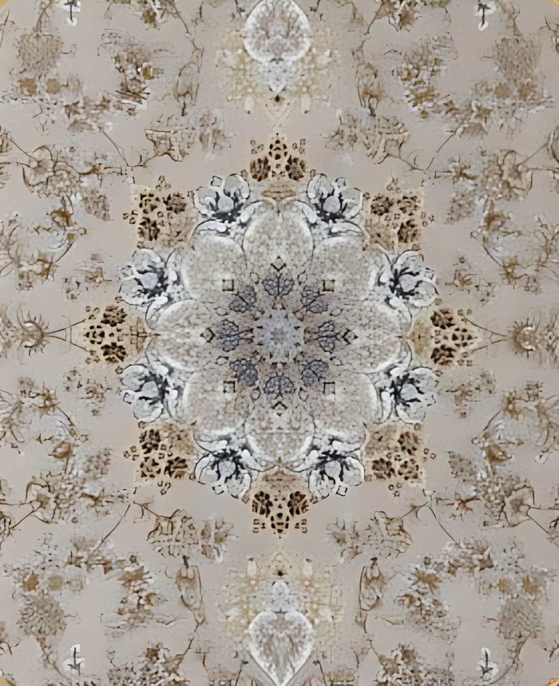 پونه صدفی طرح برجسته